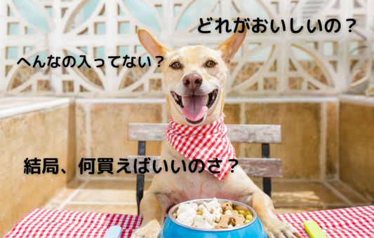 ドッグフードの選び方