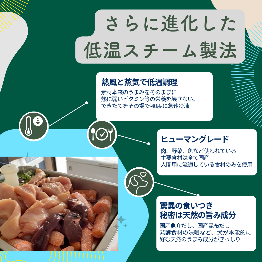 モモまる 国産 手作りドッグフード 総合栄養食 腸活 免疫力