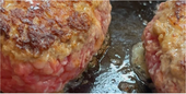 愛犬と肉感を共有 ひき肉自作の醤油バターおろしハンバーグ