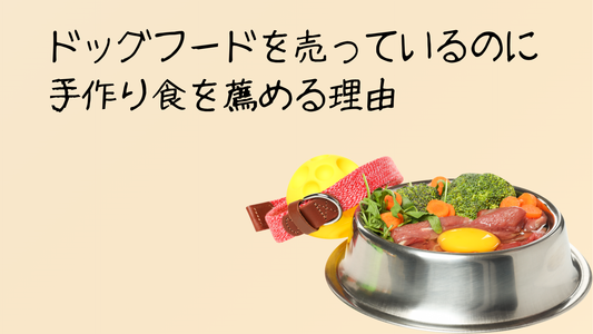 ドッグフードより手作り食