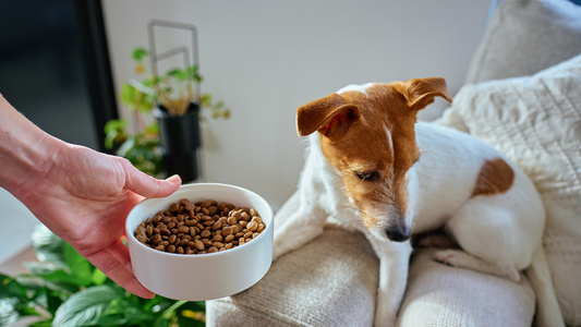 犬が食べないもの