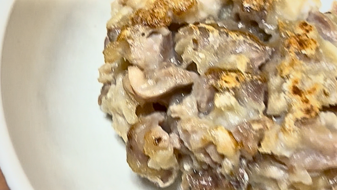 犬用ハンバーグ｜アジと砂肝で作る鯵バーグ