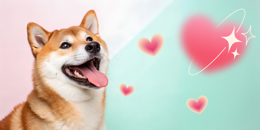 犬の幸せホルモン