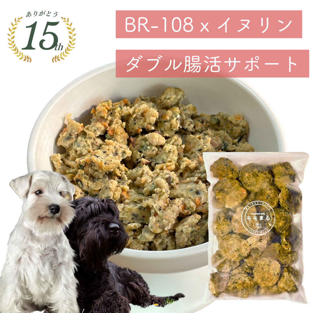 モモまる  国産 手作りドッグフード 総合栄養食 腸活 免疫力