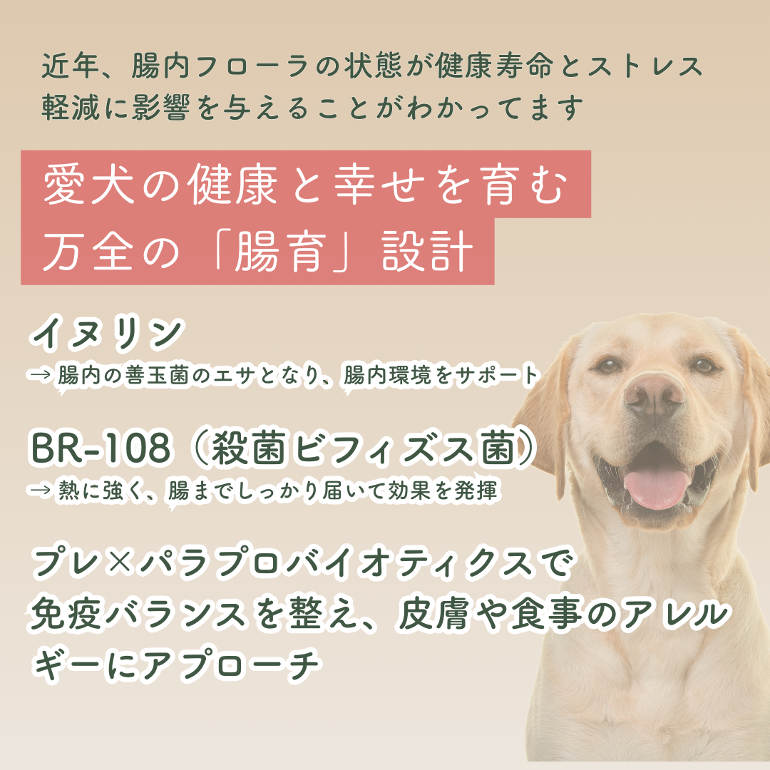 モモまる  国産 手作りドッグフード 総合栄養食 腸活 免疫力