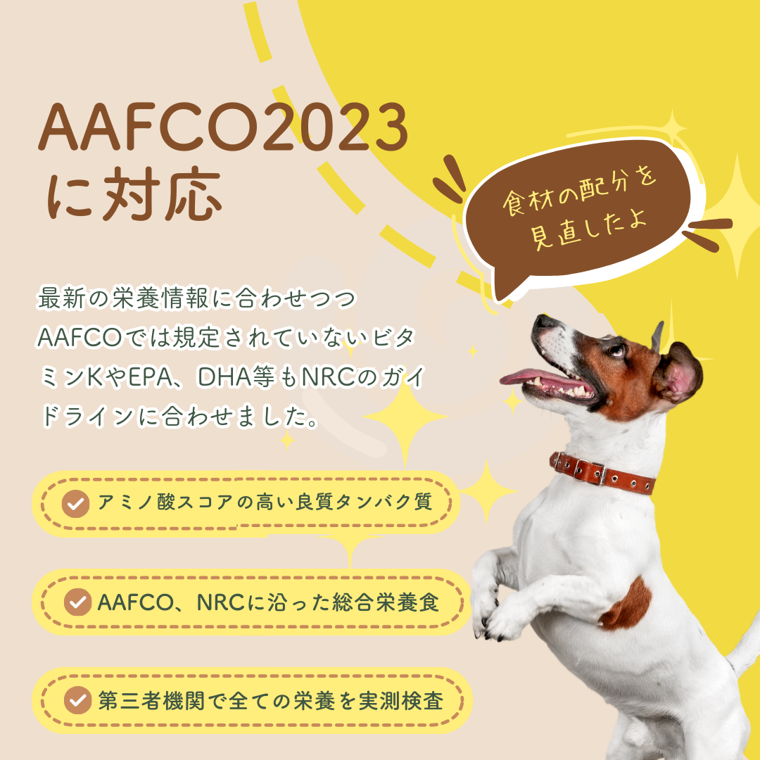 モモまる  国産 手作りドッグフード 総合栄養食 腸活 免疫力
