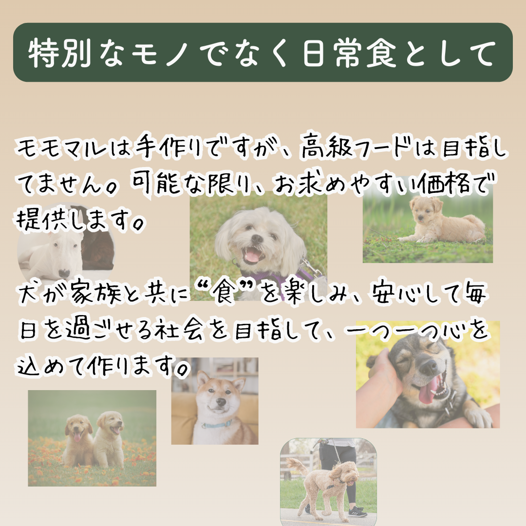モモまる  国産 手作りドッグフード 総合栄養食 腸活 免疫力